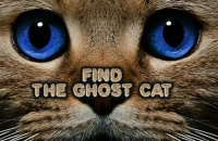 Play Find the Ghost Cat now!