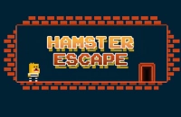 Play Hamster Escape Jailbreak now!