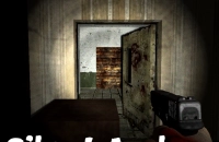 Play Silent Asylum now!