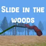 Slide in The Woods